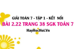 Giải bài 2.22 trang 38 Toán 7 Tập 1 SGK Kết nối tri thức